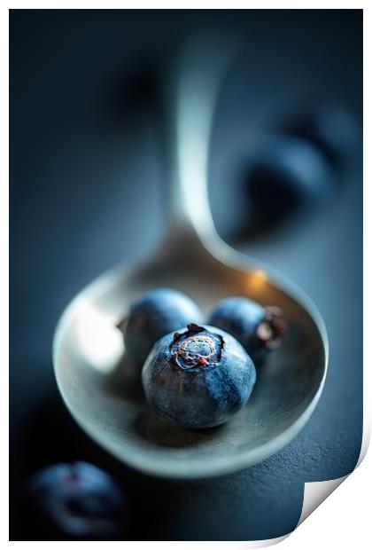 Blueberries Macro Still Life Print by Johan Swanepoel