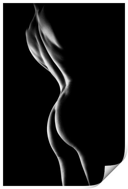 Nude woman bodyscape 6 Print by Johan Swanepoel