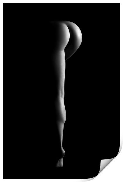Nude woman bodyscape 38 Print by Johan Swanepoel