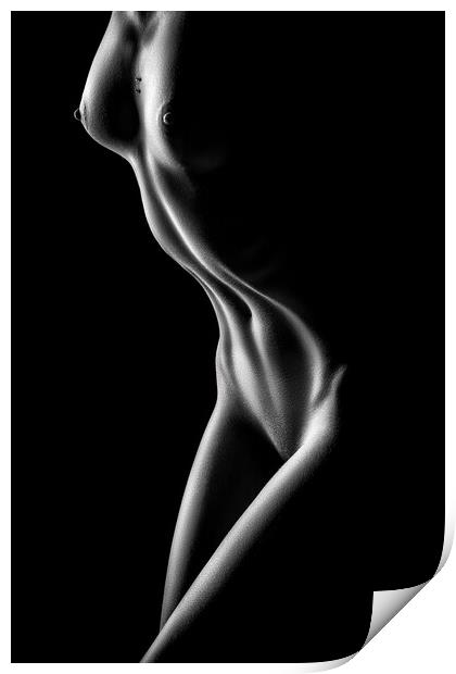 Nude woman bodyscape 71 Print by Johan Swanepoel