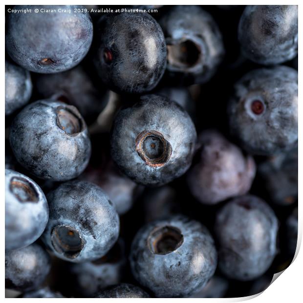 Blueberries  Print by Ciaran Craig