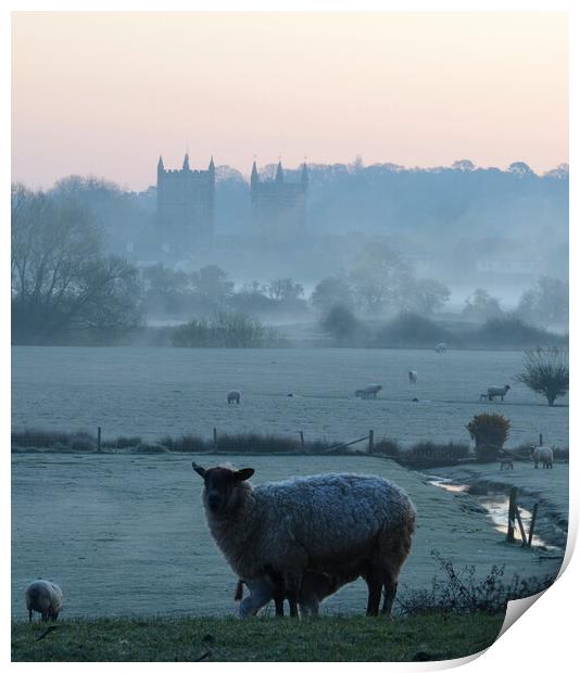 Misty Minster Print by David Neighbour