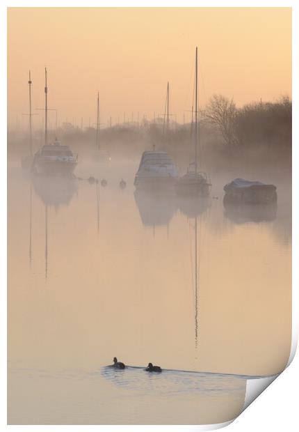 Quay Dawn Print by David Neighbour