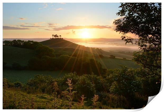 Summer at Colmer's Hill Print by David Neighbour