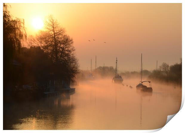 Wareham Quay Sunrise Print by David Neighbour