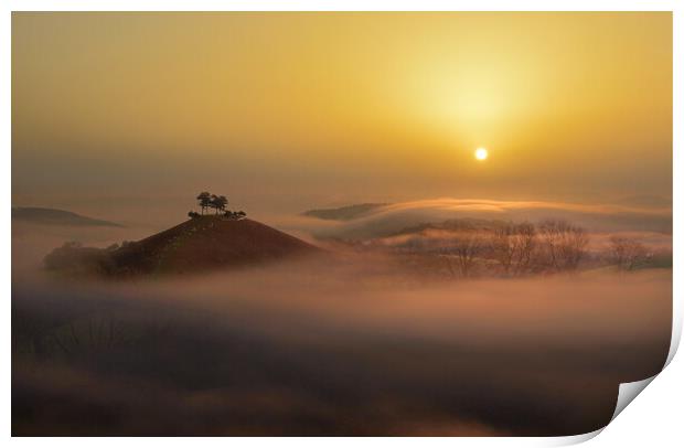 Colmer's Hill Misty Gold Print by David Neighbour