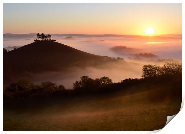 Colmer's Hill Sunrise Print by David Neighbour