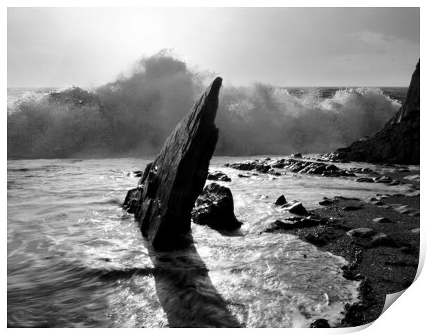 Ayrmer Wave Black and White Print by David Neighbour