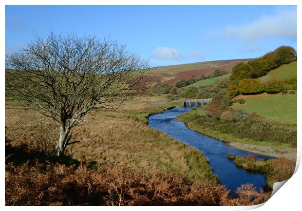 River Barle Print by David Neighbour