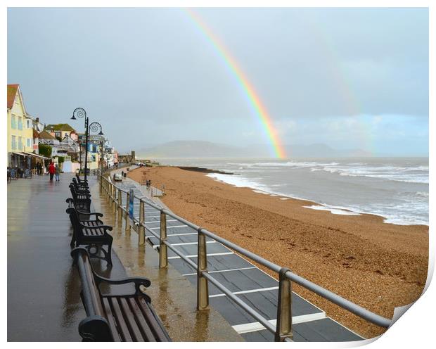 Lyme Regis rainbow Print by David Neighbour