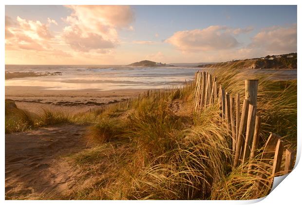 Sunny sand dunes Print by David Neighbour