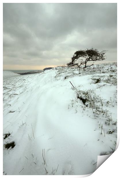 Quarry Hill Snowscape Print by David Neighbour
