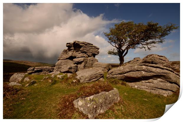 The Tree and the Tor Print by David Neighbour