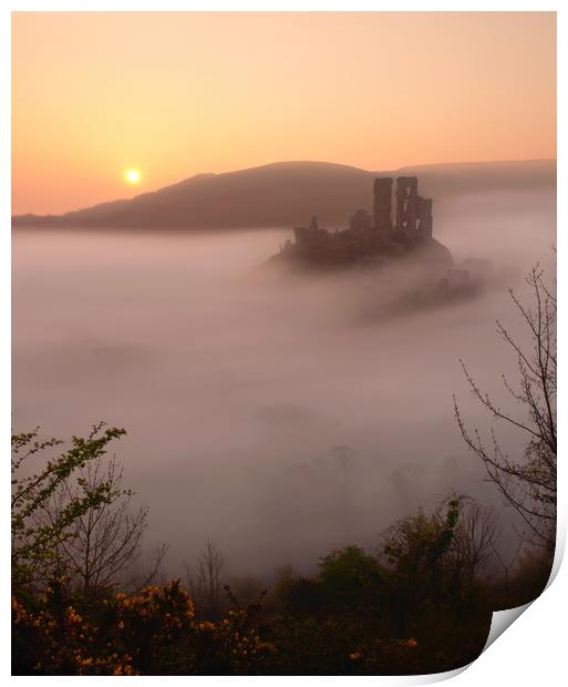 Serene Sunrise at Corfe Castle Print by David Neighbour