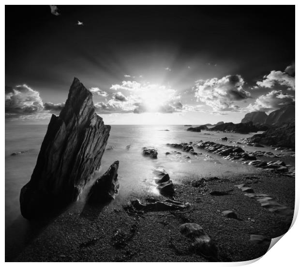Ayrmer Cove Black and White Print by David Neighbour