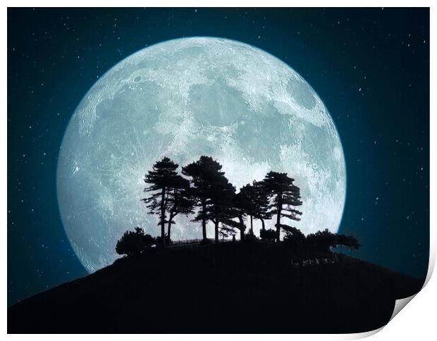 Colmer's Blue Moon Print by David Neighbour