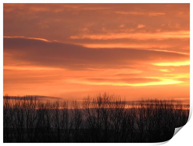Sunset over Darlington Print by Pauline Raine