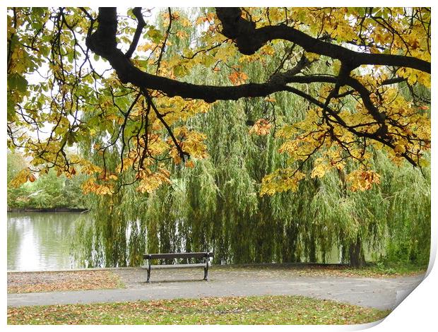 Bench by the Lake Print by Pauline Raine