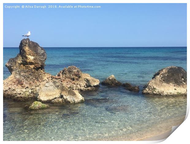 Seagull on Rocks, Cala Nova, Es Cana, Ibiza Print by Ailsa Darragh