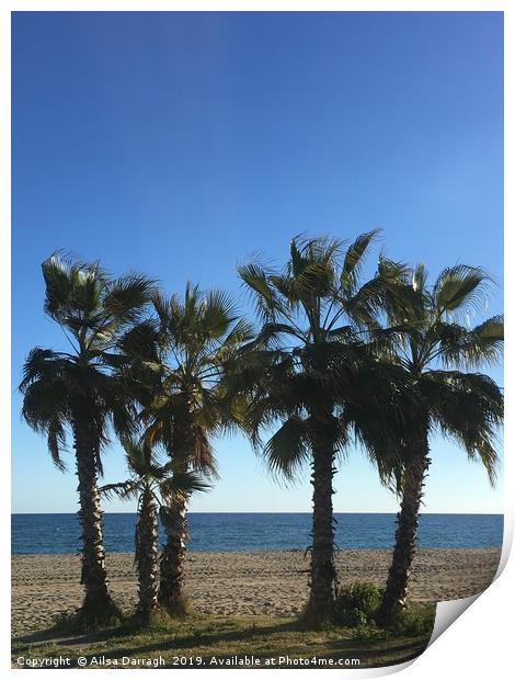 Palm Trees on La Cala beach Print by Ailsa Darragh