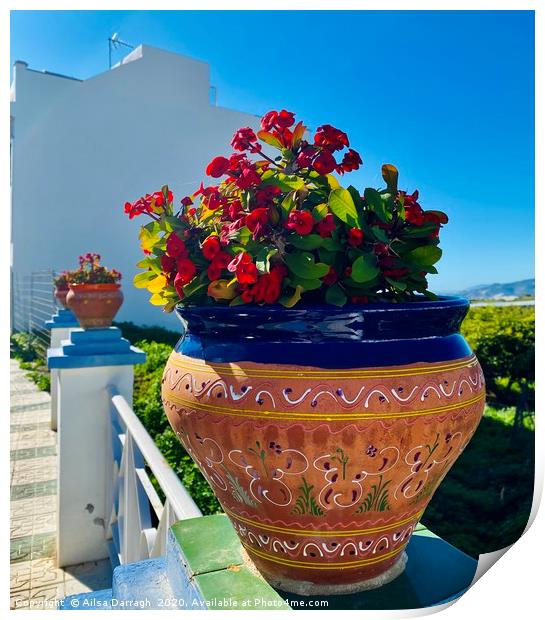 Spanish Ceramic Pot Print by Ailsa Darragh