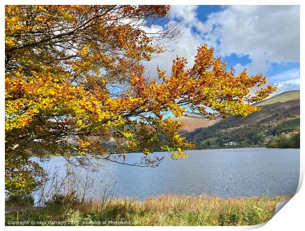 Autumn at Grasmere Lake District Print by Ailsa Darragh