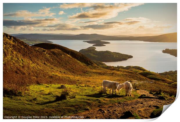 An Autumn Evening on Conic Hill Print by Douglas Milne