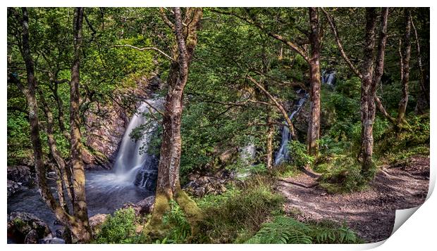 The Falls of Arklet Print by Douglas Milne