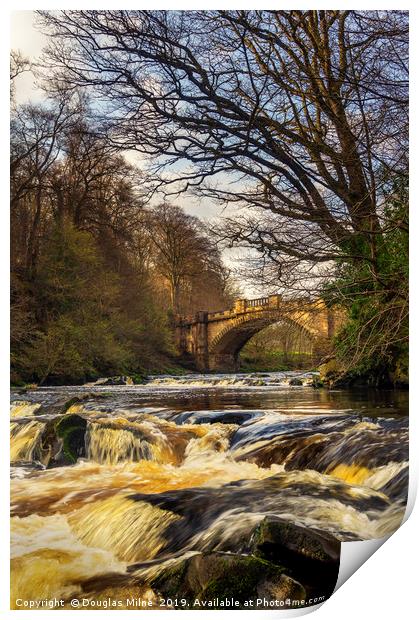 The Nasmyth Bridge and River Almond Print by Douglas Milne