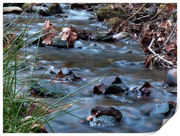 Silky brook  Print by George Greenall