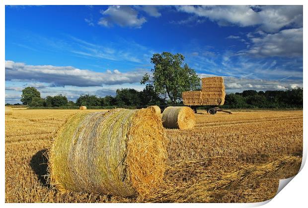 Straw Bales and Trailer Print by William A Dobson