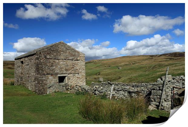 Barns in Ravenseat Print by William A Dobson