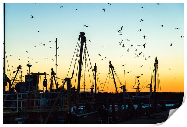 Silhouette of fishing boats and birds Print by Clive Wells