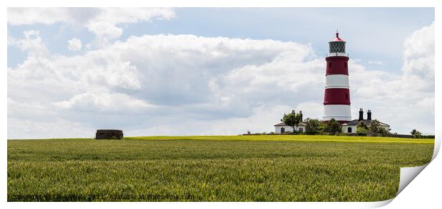 Lighthouse in a field at Happisburgh Print by Clive Wells