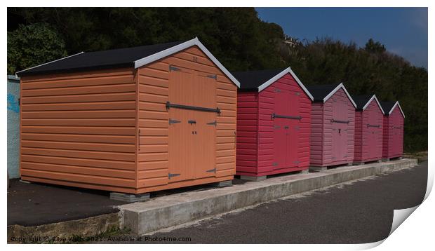 Beach huts at Folkestone. Print by Clive Wells