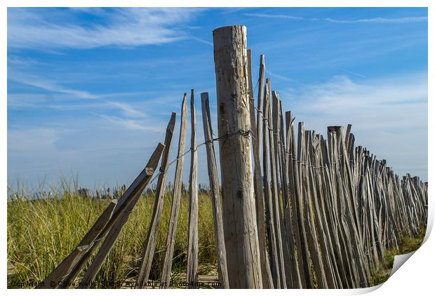 Beach fence Print by Clive Wells