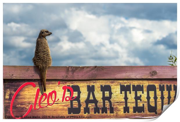 Meerkat sitting on bar sign Print by Clive Wells