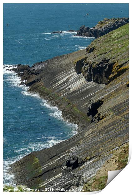 Rock meets the sea on Skomer Island Print by Clive Wells