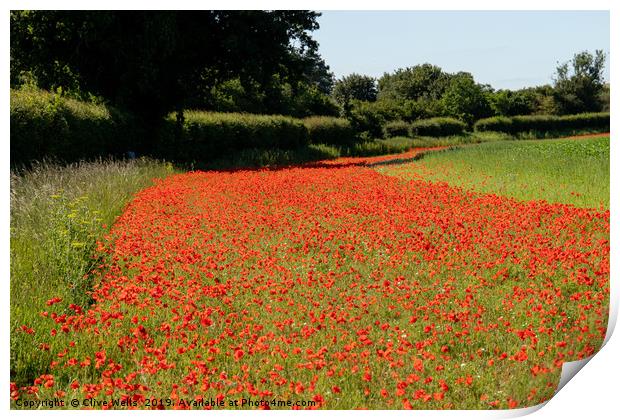 Edging of Poppies Print by Clive Wells