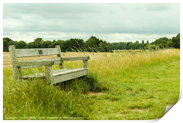 Lone seat on the grass at Sutton Bridge, Linconshi Print by Clive Wells