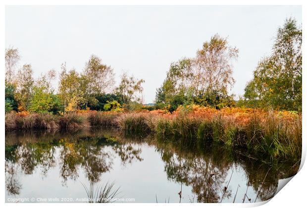 Autumn colours on an overcast day at Wolverton Print by Clive Wells