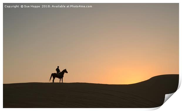 Arabian Horse with desert sunset Print by Sue Hoppe