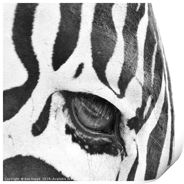 Zebra's Eye Print by Sue Hoppe