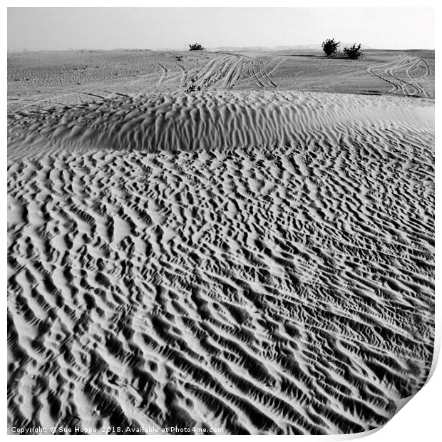 The Arabian desert outside Dubai Print by Sue Hoppe