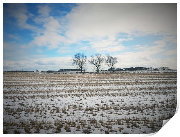 Landscape photo taken on field in ormskirk Lanchas Print by Dinil Davis