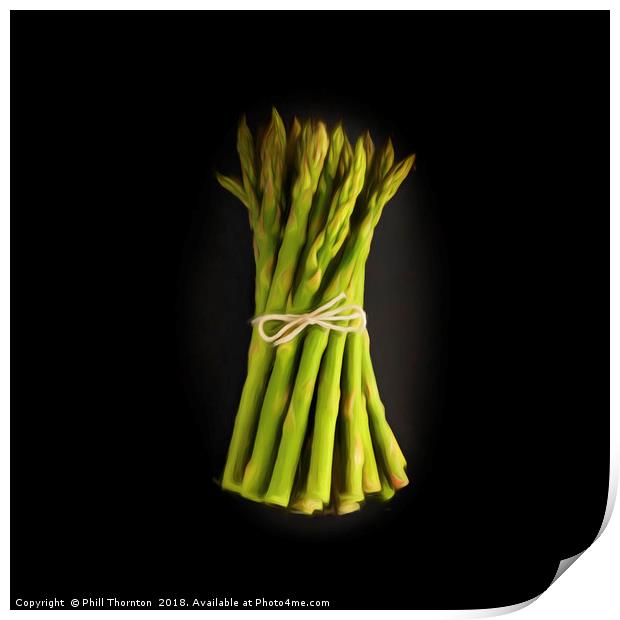 A bunch of fresh Asparagus. Print by Phill Thornton