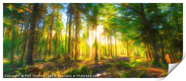 Sunset in the woods Print by Phill Thornton