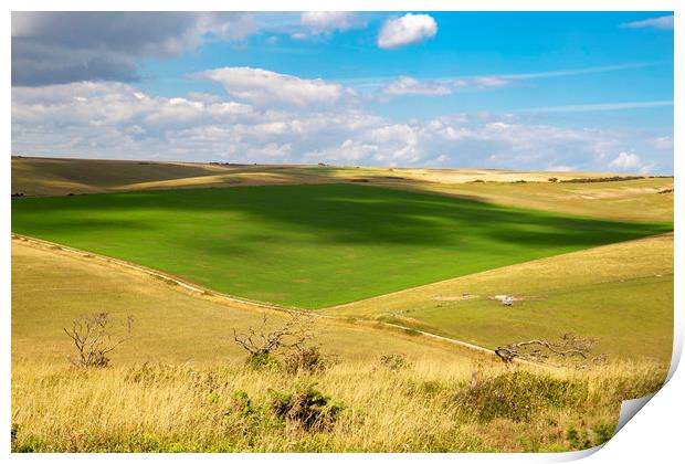 South Downs rolling fields Print by Steve Mantell