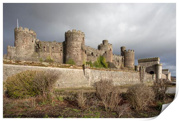 Conwy Castle on the estuary Print by Mike Hughes
