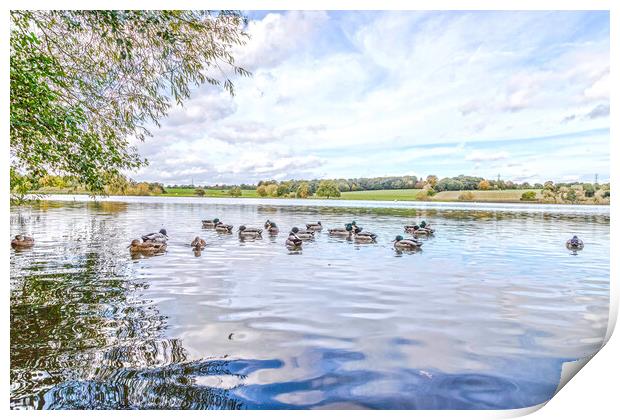 Marbury mere Print by Mike Hughes